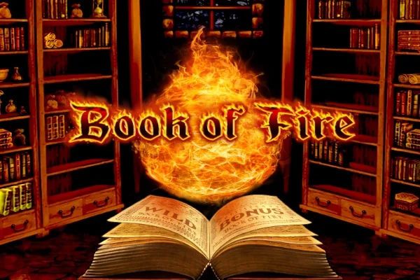 Book of Fire game artwork