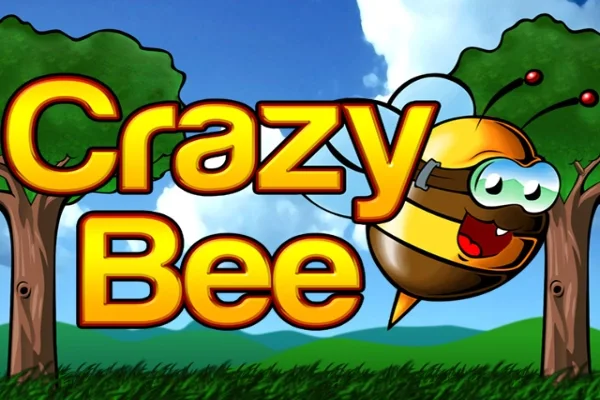 Crazy Bee game artwork
