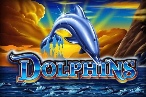 Dolphins game artwork