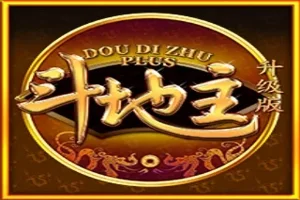 Dou Di Zhu Plus game artwork