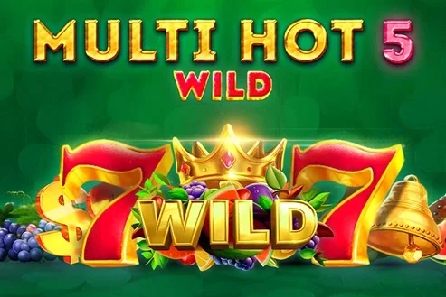 Multi Hot 5 Wild game artwork