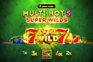 Multi Hot 5 Super Wilds game artwork