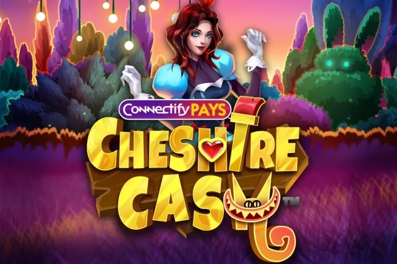 Connectify Pays Cheshire Cash game artwork
