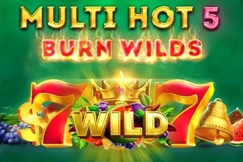 Multi Hot 5 Burn Wilds game artwork