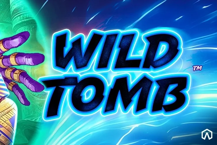 Wild Tomb game artwork